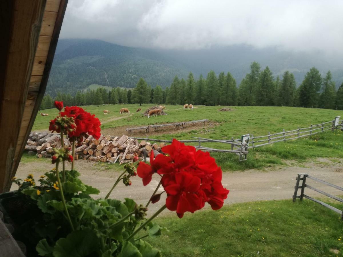 Hiasl Zirbenhuette Hotel Hochrindl Bagian luar foto